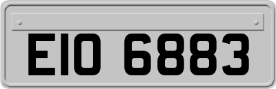 EIO6883