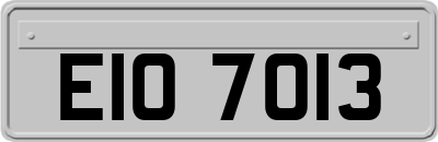 EIO7013