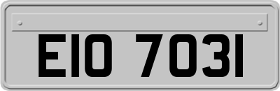 EIO7031