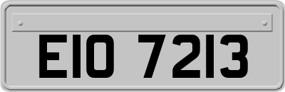 EIO7213