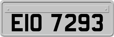 EIO7293