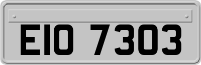 EIO7303