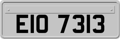 EIO7313