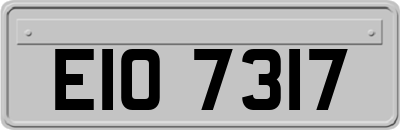 EIO7317