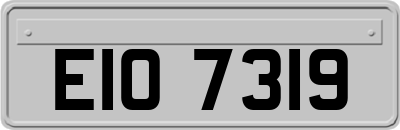EIO7319