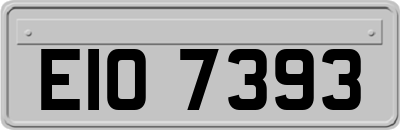 EIO7393