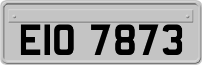 EIO7873