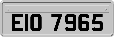 EIO7965