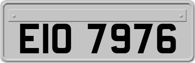 EIO7976