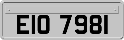EIO7981