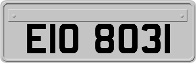 EIO8031