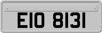 EIO8131