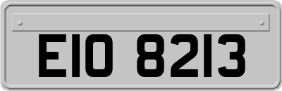 EIO8213