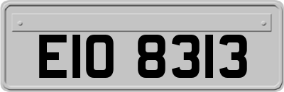 EIO8313