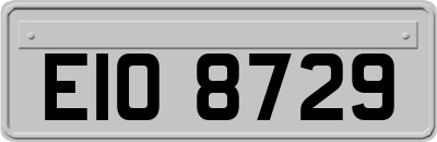 EIO8729