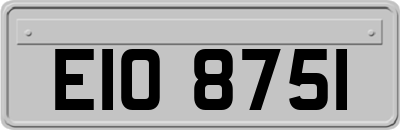 EIO8751