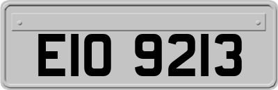 EIO9213