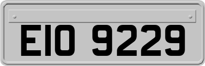 EIO9229