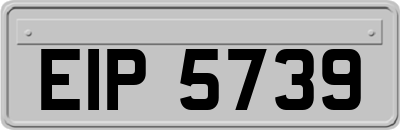 EIP5739