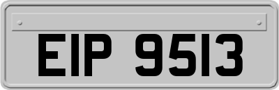 EIP9513