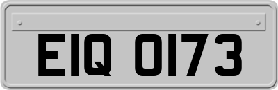 EIQ0173