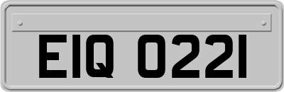 EIQ0221