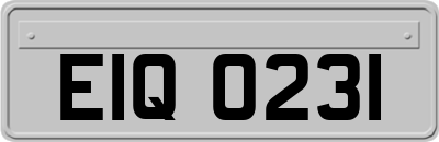 EIQ0231