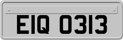 EIQ0313