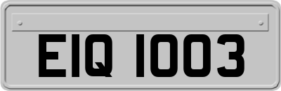 EIQ1003