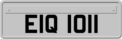 EIQ1011