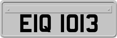 EIQ1013