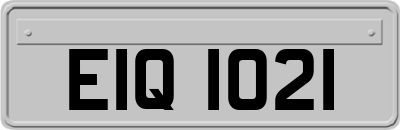 EIQ1021