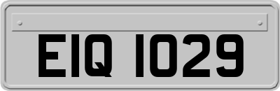 EIQ1029