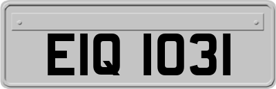 EIQ1031