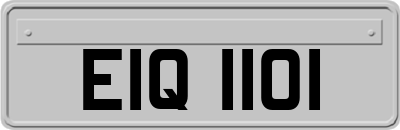 EIQ1101