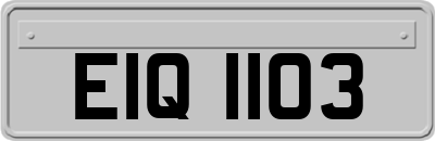 EIQ1103