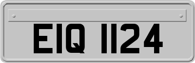 EIQ1124