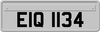 EIQ1134