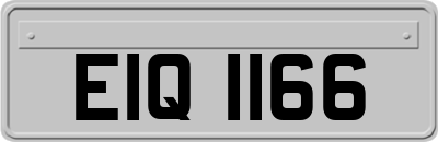 EIQ1166
