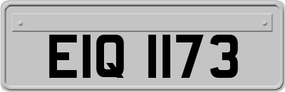 EIQ1173