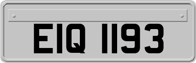 EIQ1193