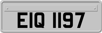 EIQ1197