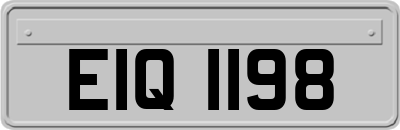 EIQ1198