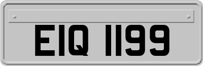 EIQ1199