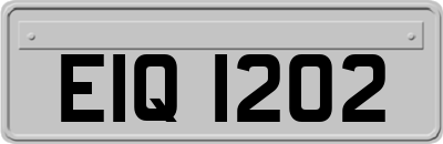 EIQ1202