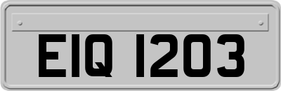 EIQ1203
