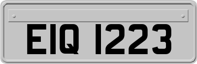 EIQ1223