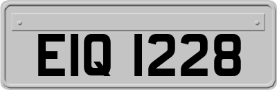EIQ1228