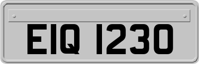 EIQ1230