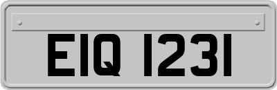EIQ1231